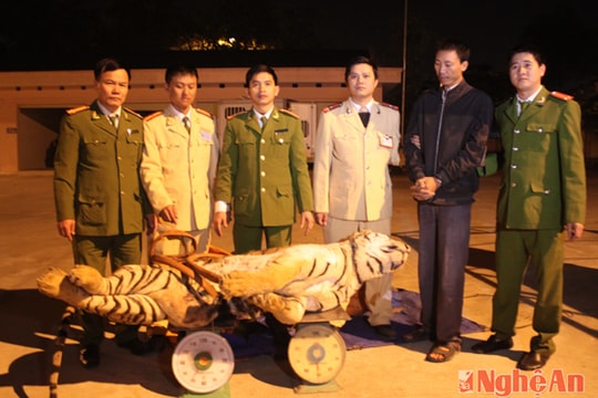 Gian nan phòng, chống buôn bán, vận chuyển động vật hoang dã