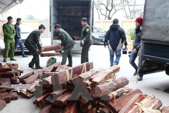 Tạm dừng cấp giấy phép nhập khẩu gỗ trắc vào Việt Nam