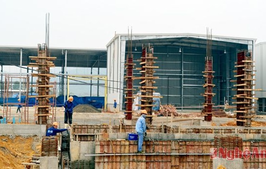 Gấp rút hoàn thành Dự án Nhà máy chế biến gỗ MDF