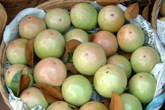 Thêm vải, xoài, vú sữa xuất khẩu vào thị trường Mỹ