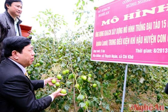 Hiệu quả ứng dụng khoa học kỹ thuật trong phát triển nông nghiệp