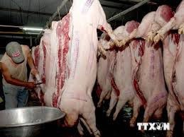 Thành phố Vinh tăng cường quản lý giết mổ gia súc tập trung