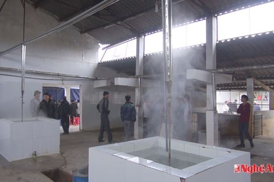 TP.Vinh triển khai giết mổ gia súc tập trung tại xã Nghi Phú