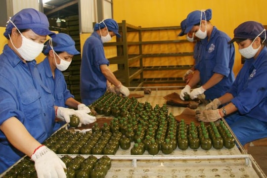 Tổng cục Công nghiệp Quốc phòng chủ động công nghệ vũ khí