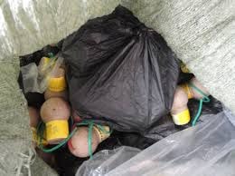 Hai cha con vận chuyển, tàng trữ pháo nổ