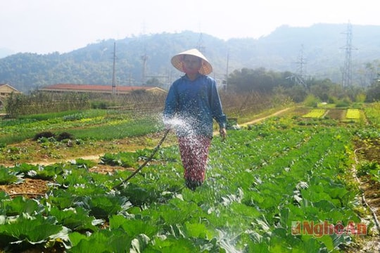 Nâng cao sức chiến đấu của tổ chức cơ sở đảng