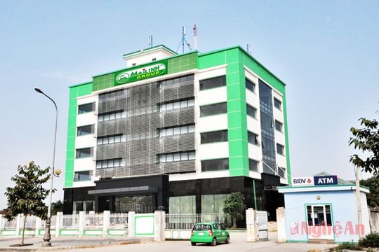 Mai Linh Nghệ An: Vì màu xanh cuộc sống