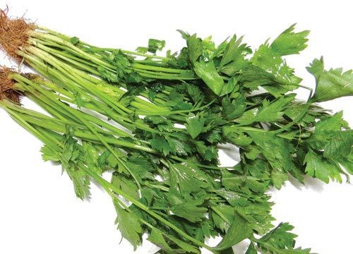 Thực phẩm bổ dưỡng cho mẹ bầu ngày Tết