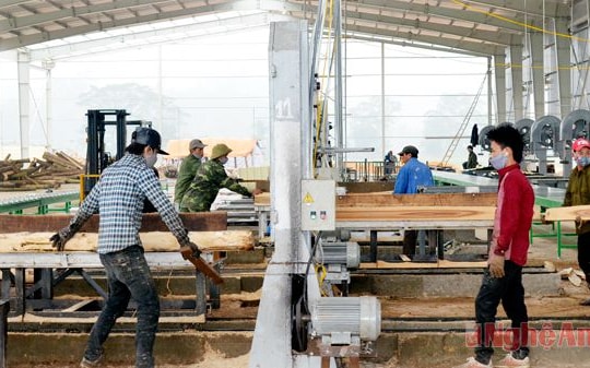 Anh Sơn: Động lực mới, triển vọng mới