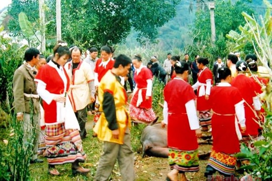 Nét tâm linh trong tục tế trâu