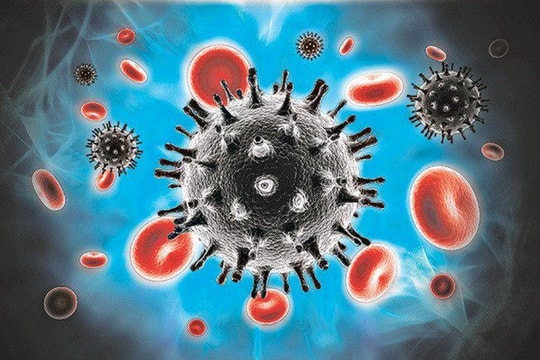 Phát hiện vị trí "trú ẩn" của virus HIV trong tế bào người
