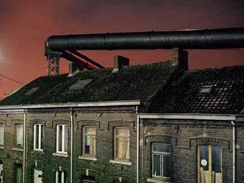 Nhiếp ảnh gia đoạt giải bị tước giải thưởng vì... đạo đức nghề nghiệp