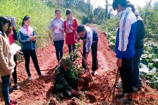 Những cách làm sáng tạo