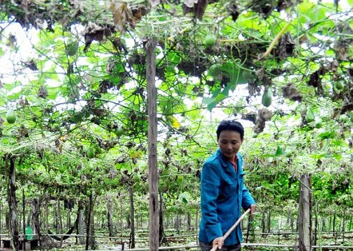 "Tấc đất, tấc vàng"