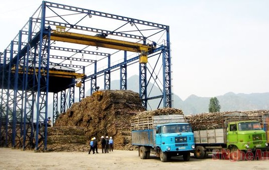 "Bài toán" nguyên liệu chế biến mía đường: "Lời giải" ở năng suất, giá thành