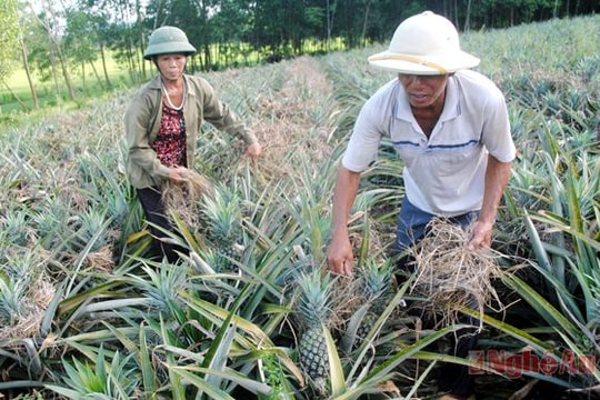 Xã Lăng Thành: Chú trọng nâng cao đời sống nhân dân