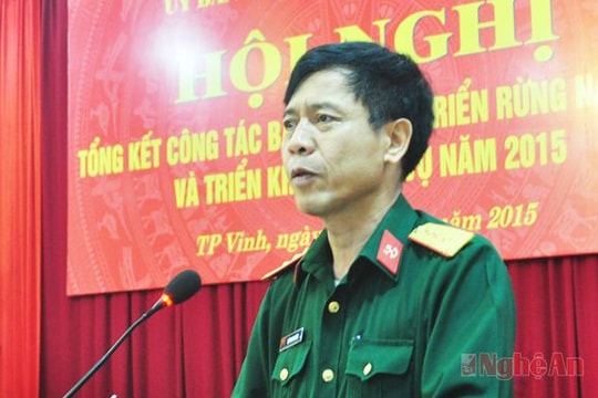 Tăng cường công tác bảo vệ, phát triển rừng