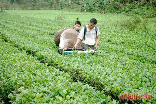 Xã Yên Khê (Con Cuông): Nỗ lực "về đích" nông thôn mới