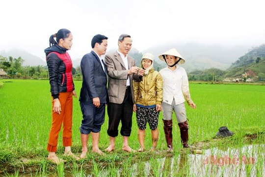 Xã Châu Tiến (Quỳ Hợp): Xây dựng thành xã khá của huyện