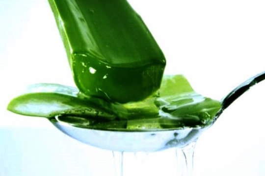 Top 5 thực phẩm hỗ trợ hệ tiêu hóa