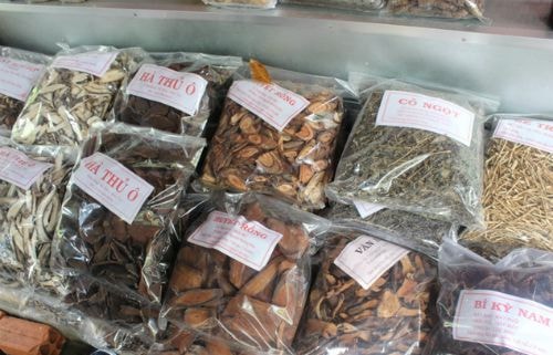 Thuốc Đông y nhiễm nhiều độc chất gây bệnh