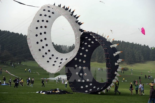 Những mẫu diều độc đáo tại lễ hội thả diều quốc tế