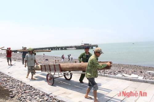 Để đảo Ngư 'hóa rồng'...