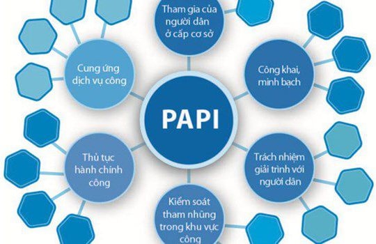 Chỉ số PAPI 2014: Gần 50% phải lót tay để vào công chức