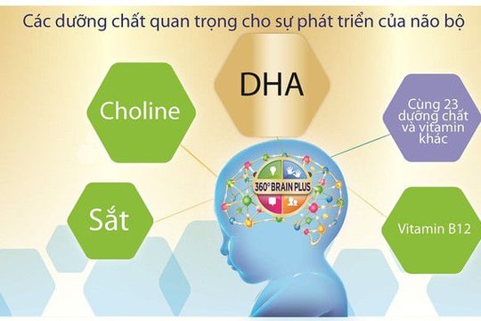 Nguồn dinh dưỡng đúng cho sự phát triển trí não toàn diện của bé