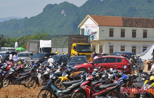 Sôi nổi Hội chọi trâu ở Cẩm Sơn