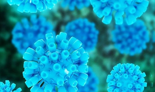 Cảnh báo ung thư từ bệnh viêm gan C