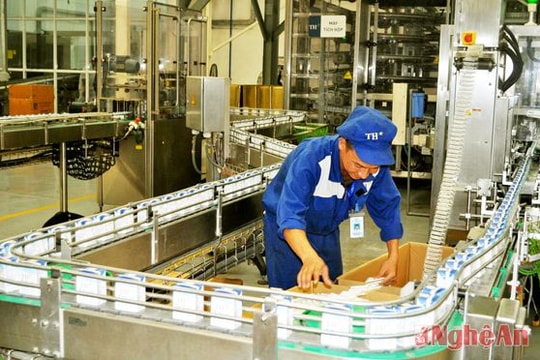 Nâng quy mô, tăng cạnh tranh cho ngành sữa