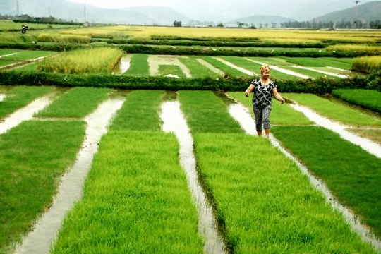 Xã Diễn Lộc (Diễn Châu): Vươn lên tốp khá của huyện