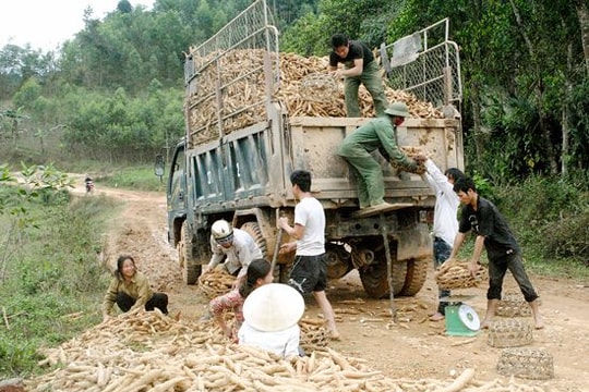 Xã Tiên Kỳ (Tân Kỳ): Khai thác tiềm năng, tạo bước đột phá