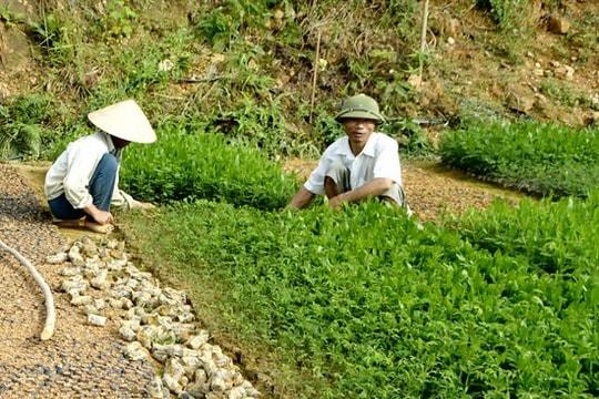 Xã Nghĩa Hành (Tân Kỳ): Nỗ lực hoàn thành tốt các mục tiêu
