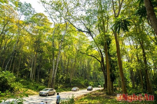 Dấu ấn ở "chảo lửa Đông Dương"