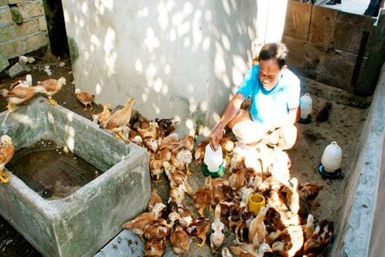 Xã Hưng Hòa (TP. Vinh): Tạo nhịp năng động ven đô