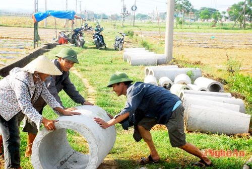 Xã Diễn Kỷ (Diễn Châu): Đẩy mạnh chuyển dịch cơ cấu kinh tế