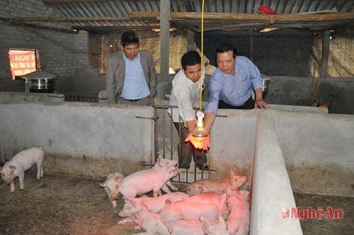 Xã Nghĩa Thắng (Nghĩa Đàn): Đẩy nhanh nhịp độ tăng trưởng