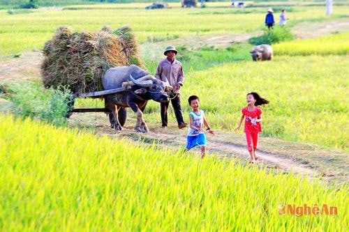 Vui ngày Quốc tế Thiếu nhi 1-6: Đừng xa nhé,  tuổi thơ...