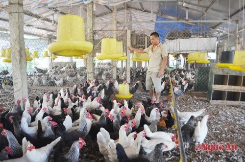 Xã Nghi Đức (TP.Vinh): Tạo bước phát triển nhanh, bền vững