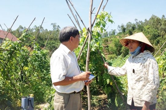 Góp phần hoàn thiện chủ trương,  chính sách pháp luật