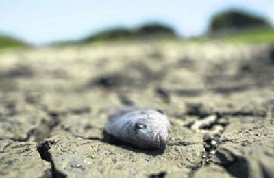 Biến đổi khí hậu có thể lãng phí 50 năm thành quả trong lĩnh vực y tế