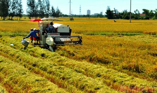 Chuyển dịch cơ cấu kinh tế, đẩy nhanh tốc độ tăng trưởng