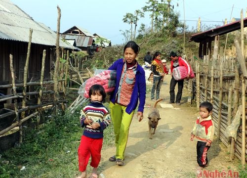 Những nét văn hóa của cộng đồng người khơ mú - Bài 1: Lấy vợ là "lên chức" bố