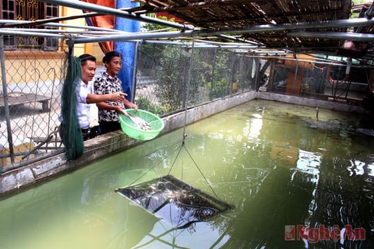 Sức sống mới từ trẻ hóa cán bộ cấp ủy