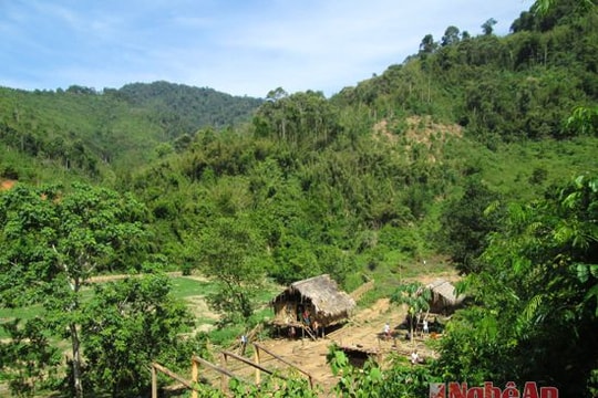 Tập trung chỉ đạo điều tra làm rõ vụ án giết người tại Tam Hợp, Tương Dương