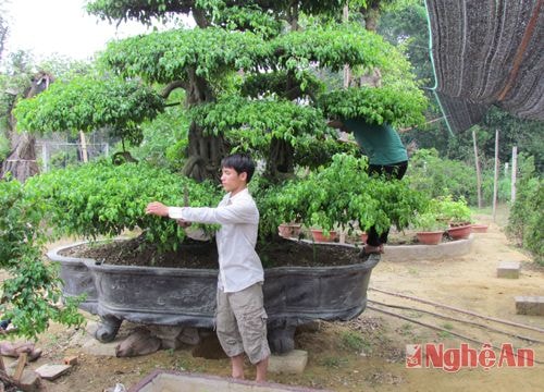 8 làng có nghề đăng ký xét công nhận làng nghề năm 2015