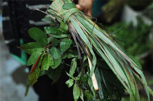 Dùng lá xông hơi đúng cách để giải cảm