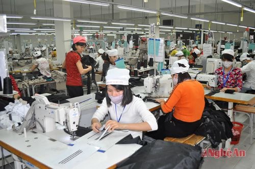 Chi cục Thuế Vinh: Thu ngân sách 6 tháng đầu năm tăng cao